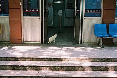 《黑神话：悟空》光追、DLSS 3预告 最具先进技术游戏之一