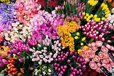 《Phantom Line》Steam上线 开放世界第一人称FPS